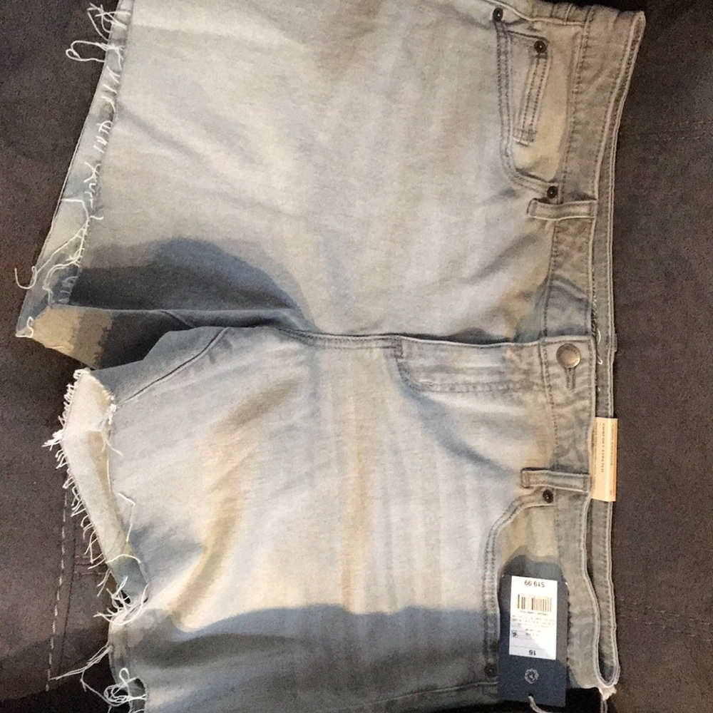 Size 16 shorts